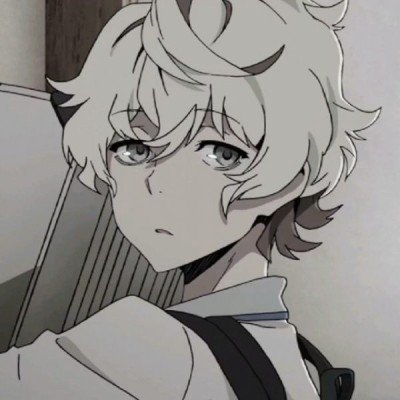 美第一夫人祸从口出